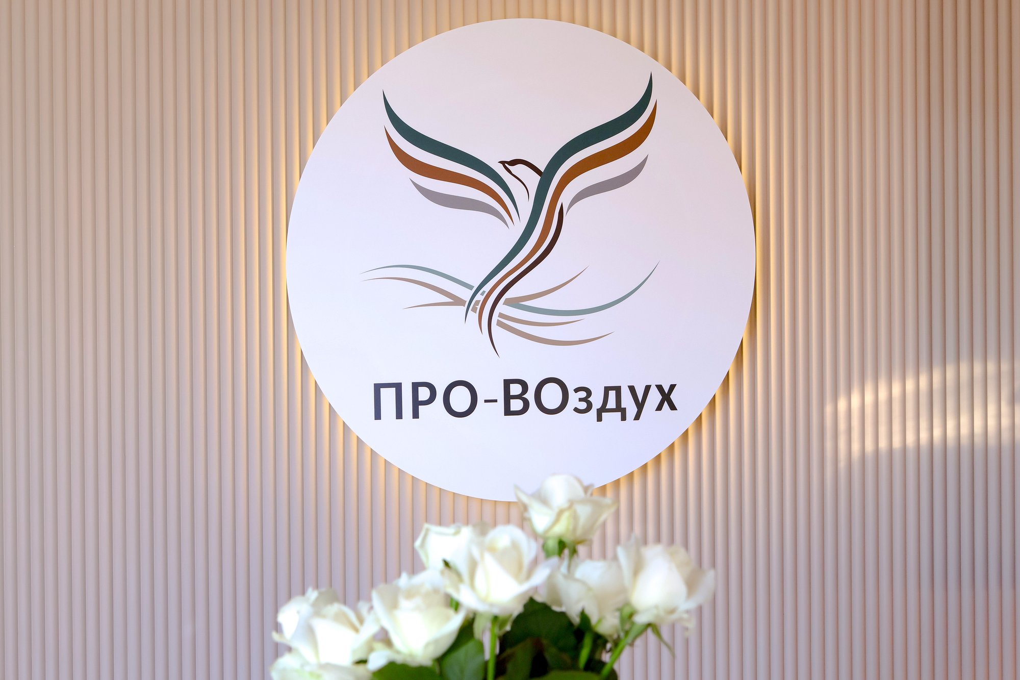 Наши фото